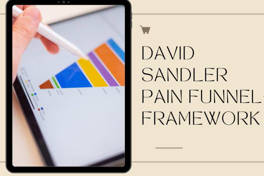 David Sandler pain funnel- framework